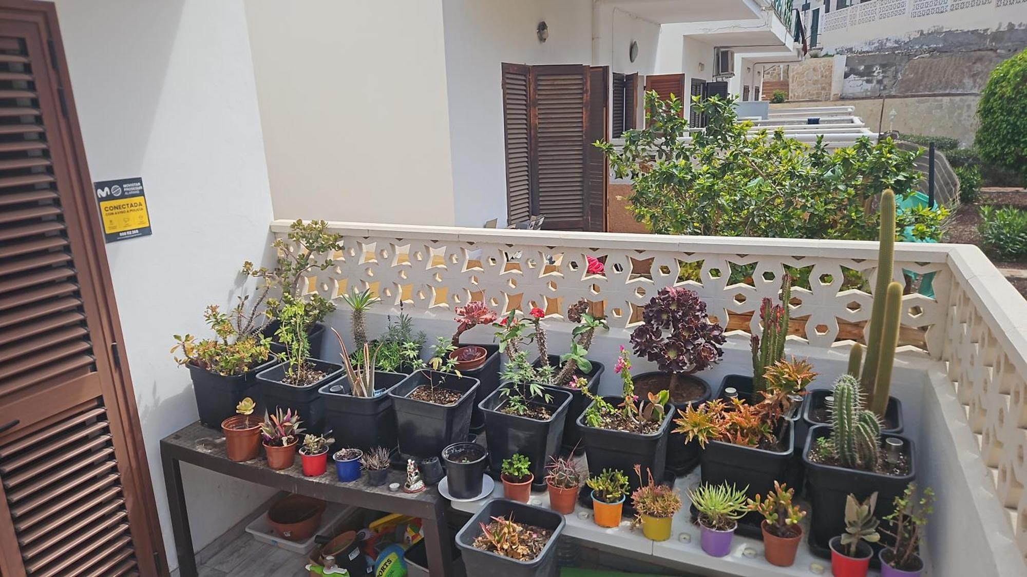 Renovated Villa In Las Americas Sea Coast プラヤ・デ・ラス・アメリカス 部屋 写真